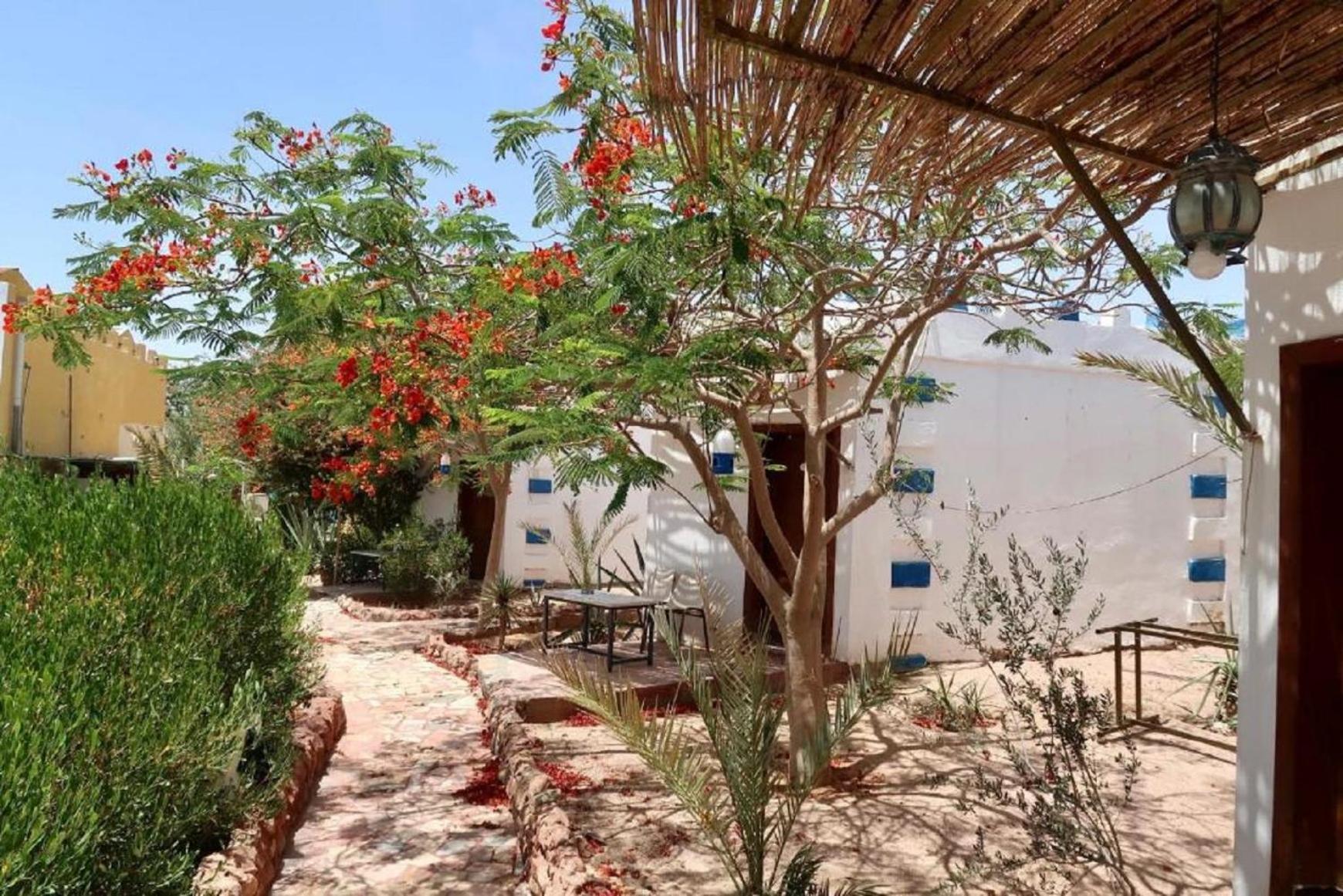 Bedouins Inn Village Aqaba Ngoại thất bức ảnh